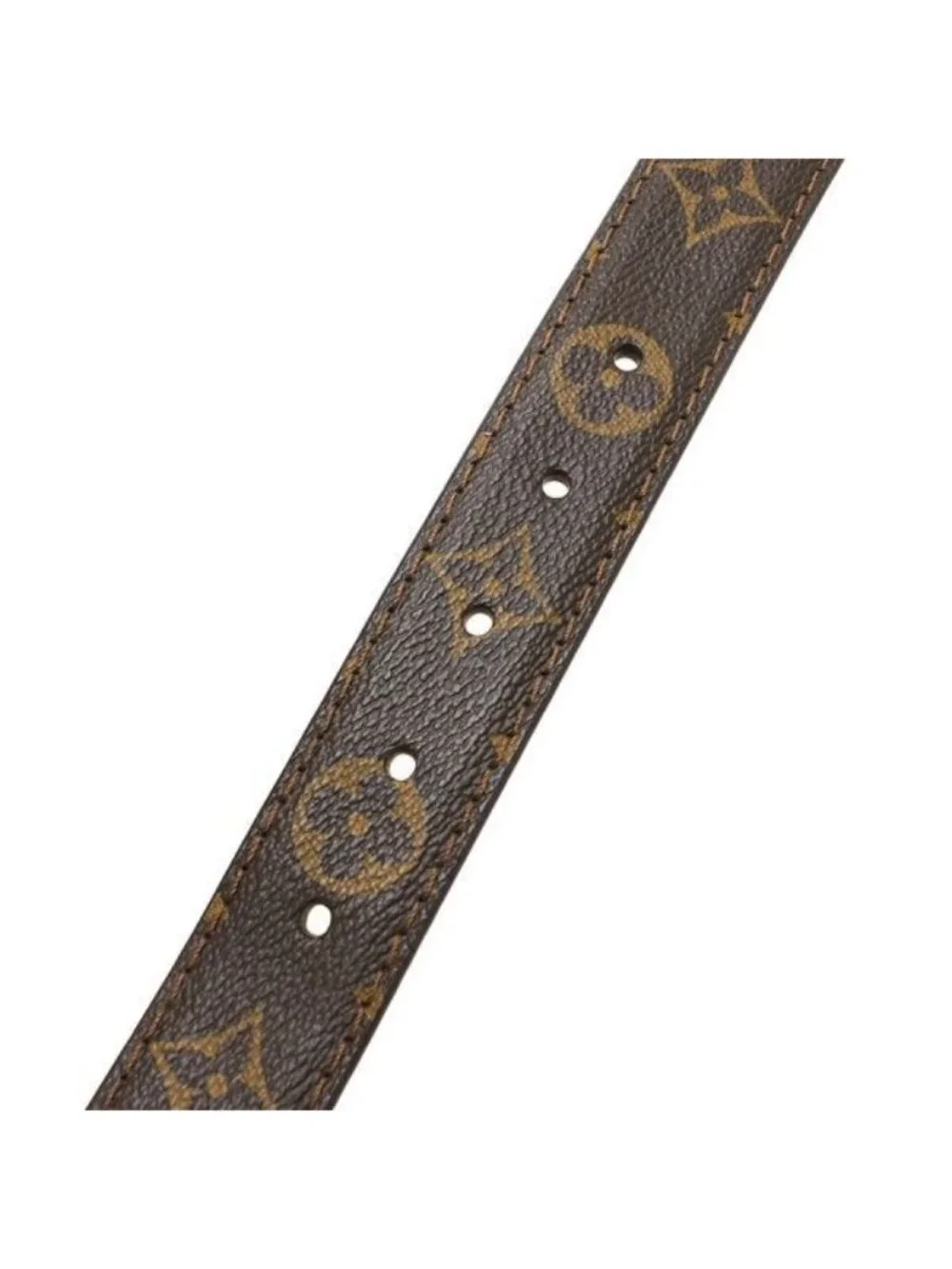 Louis Vuitton Ceinture Pochette Pouch